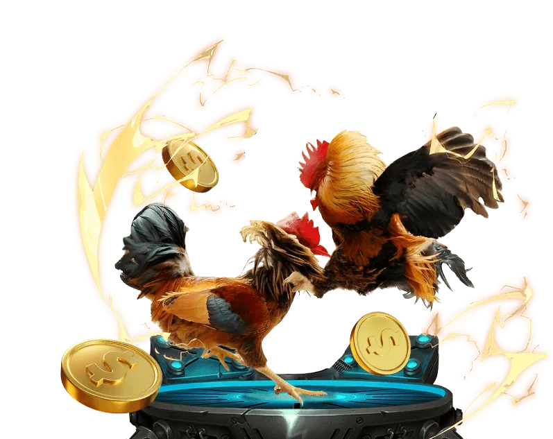 Hướng dẫn chơi đá gà trực tuyến tại Suncity888 Casino